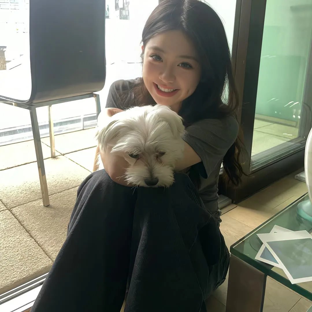 美人与流血事件