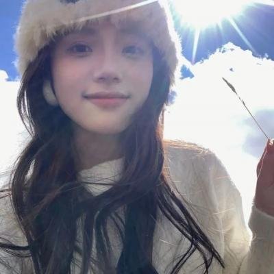 我私人的爱达荷