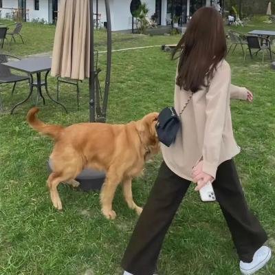 信号
